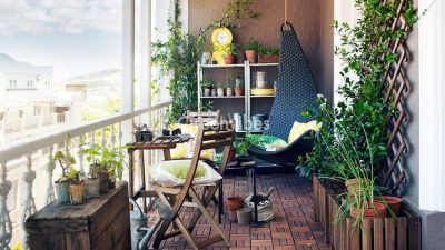 Bảo Dưỡng Cây Tại Quận 1 Chăm Cây Văn Phòng, Dịch Vụ Cây Ban Công