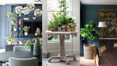 Những cách trang trí cây cảnh trong nhà đẹp, hợp phong thủy
