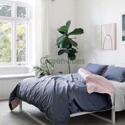 Top 15+ cây lọc không khí trong phòng ngủ tốt cho hệ hô hấp