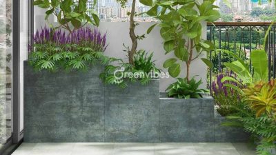Cây Cảnh, Cây Xanh Ban Công Đẹp Giá Rẻ Tại Quận 2 HCM