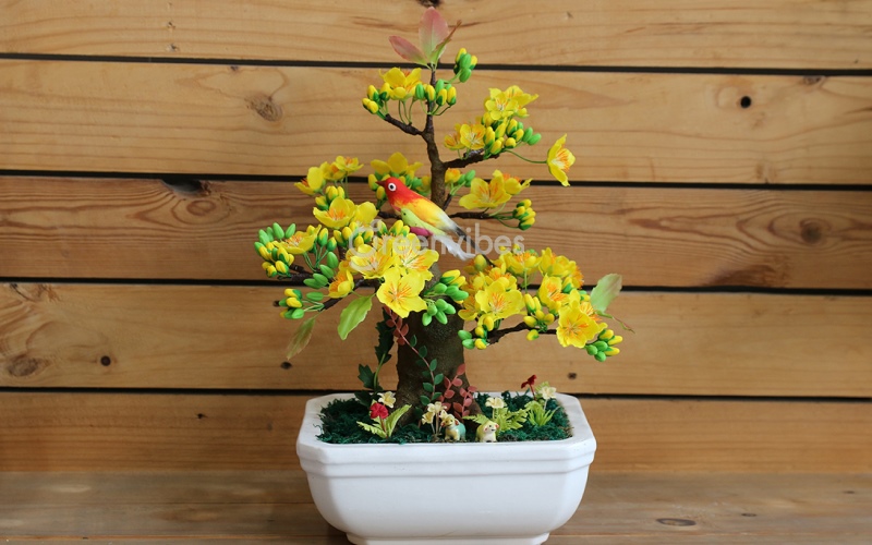 Hoa mai vàng là loại cây cảnh để bàn ngày Tết được ưa chuộng hàng đầu