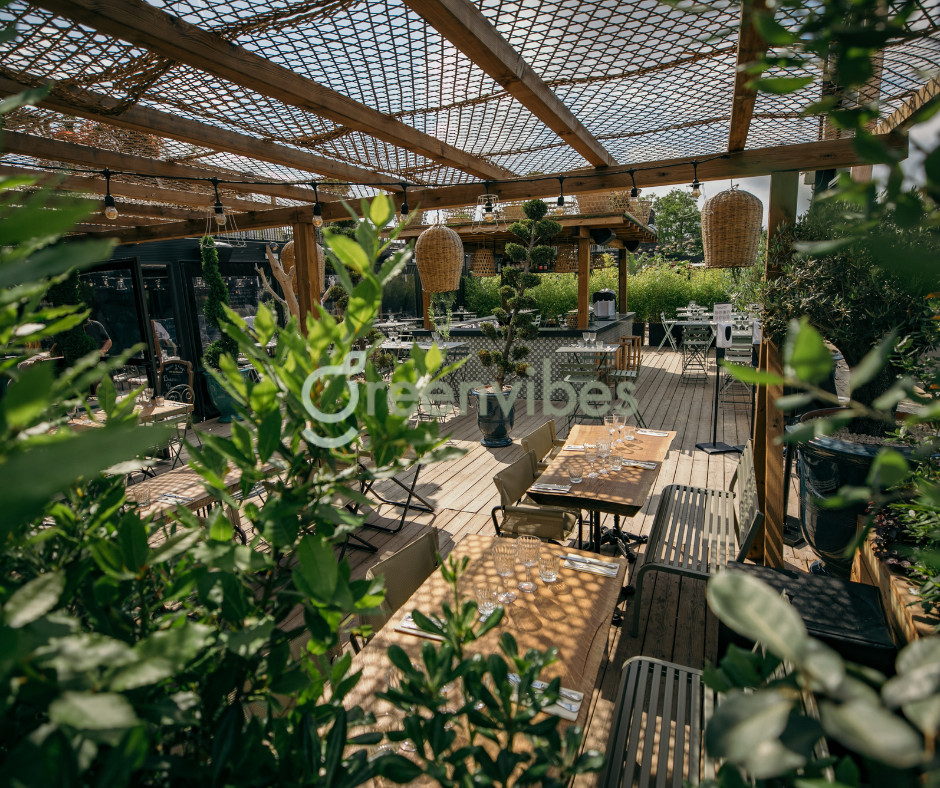 Chọn GreenVibes Cho Dịch Vụ Chăm Sóc Cây Xanh Chọn GreenVibes Cho Dịch Vụ Chăm Sóc Cây Xanh