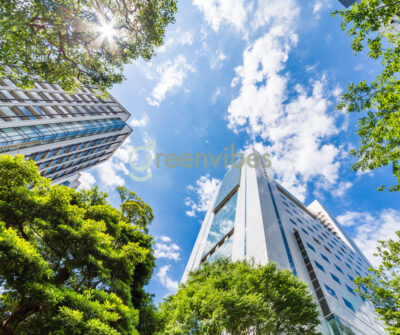 Cây Xanh Quận 2 Quy Hoạch Và Phát Triển Cho Cây Xanh Bền Vững