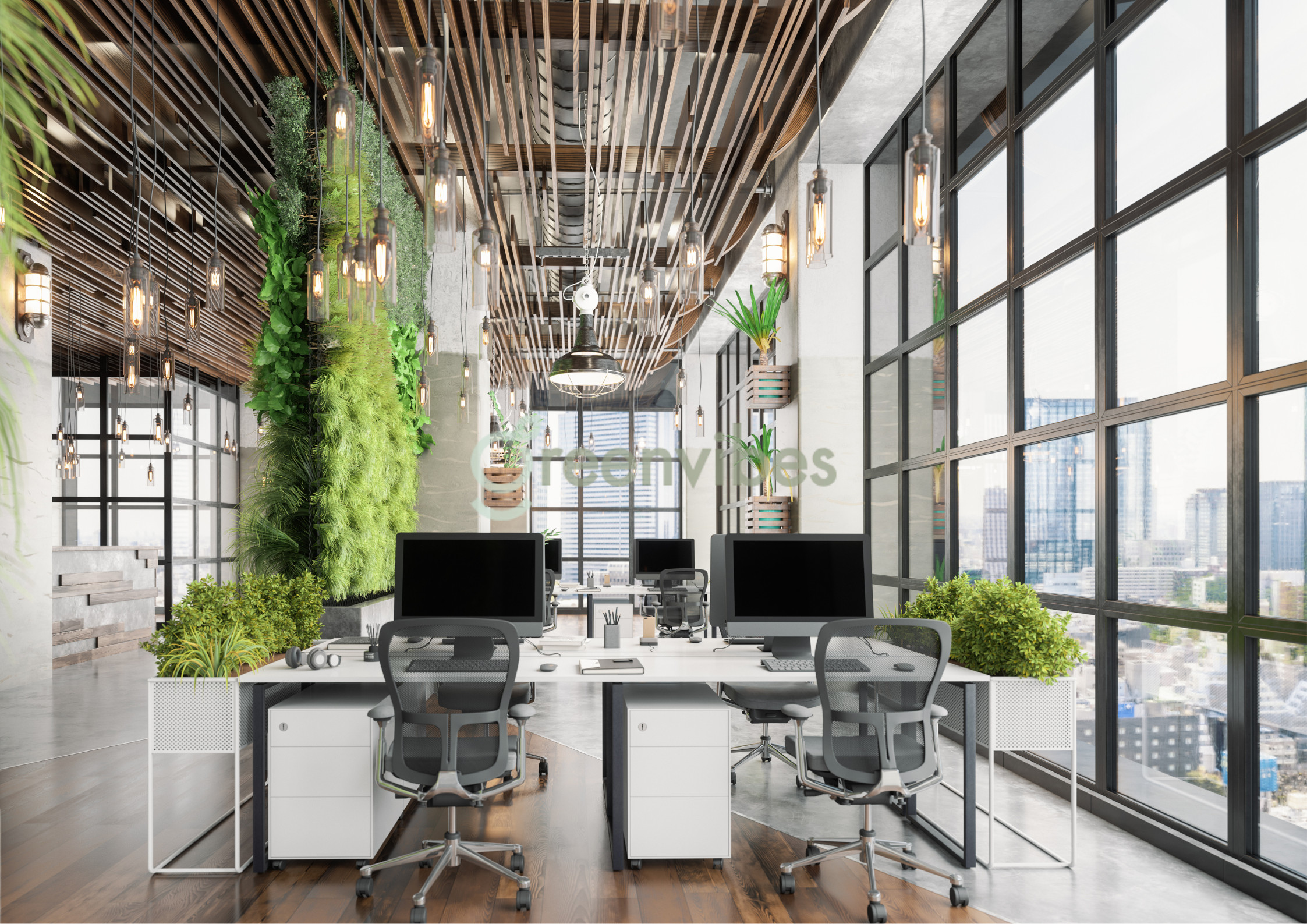 Dịch Vụ Tư Vấn Phong Thủy Cây Cảnh Của GreenVibes Dịch Vụ Tư Vấn Phong Thủy Cây Cảnh Của GreenVibes