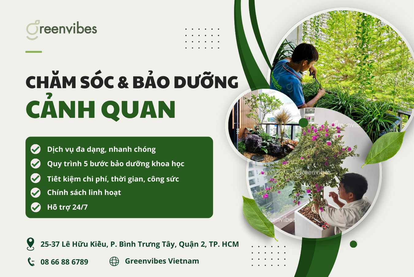 Dịch vụ chăm sóc cây cảnh GreenVibes Quận 2