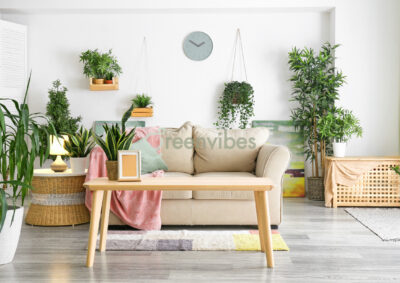 Dịch Vụ Cắt Tỉa, Tưới Cây, Bón Phân Cho Cây Xanh Tại Nhà Quận 2
