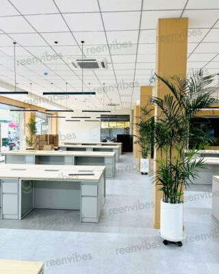 Bảo Dưỡng Cây Định Kỳ, Bảo Dưỡng Theo Yêu Cầu Chất Lượng, Giá Tốt