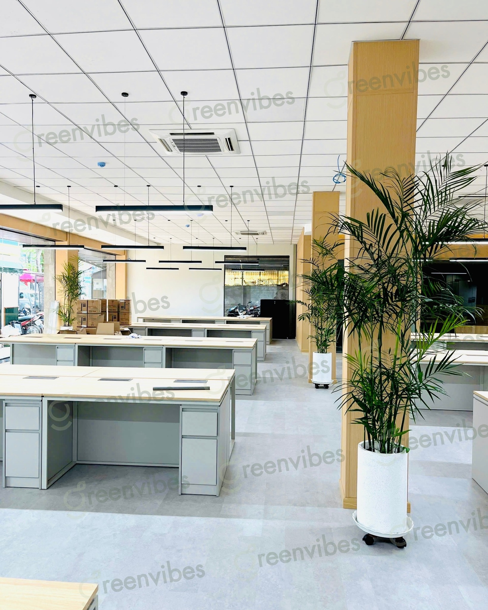 Bảo Dưỡng Cây Định Kỳ, Bảo Dưỡng Theo Yêu Cầu Chất Lượng, Giá Tốt
