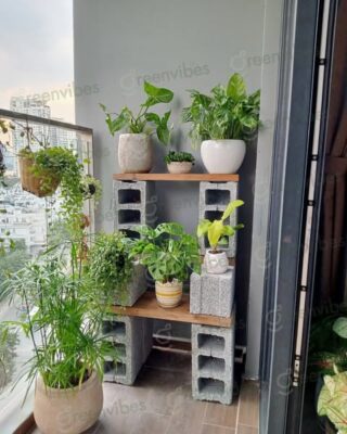 Dịch Vụ Cây Xanh Quận 2