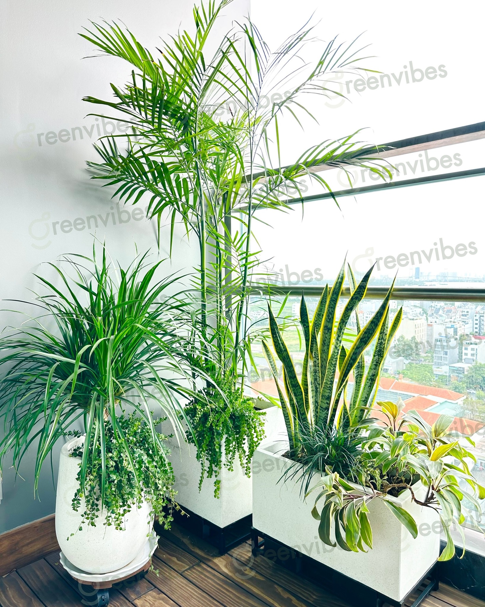 Dịch Vụ Bảo Dưỡng Cây Theo Yêu Cầu