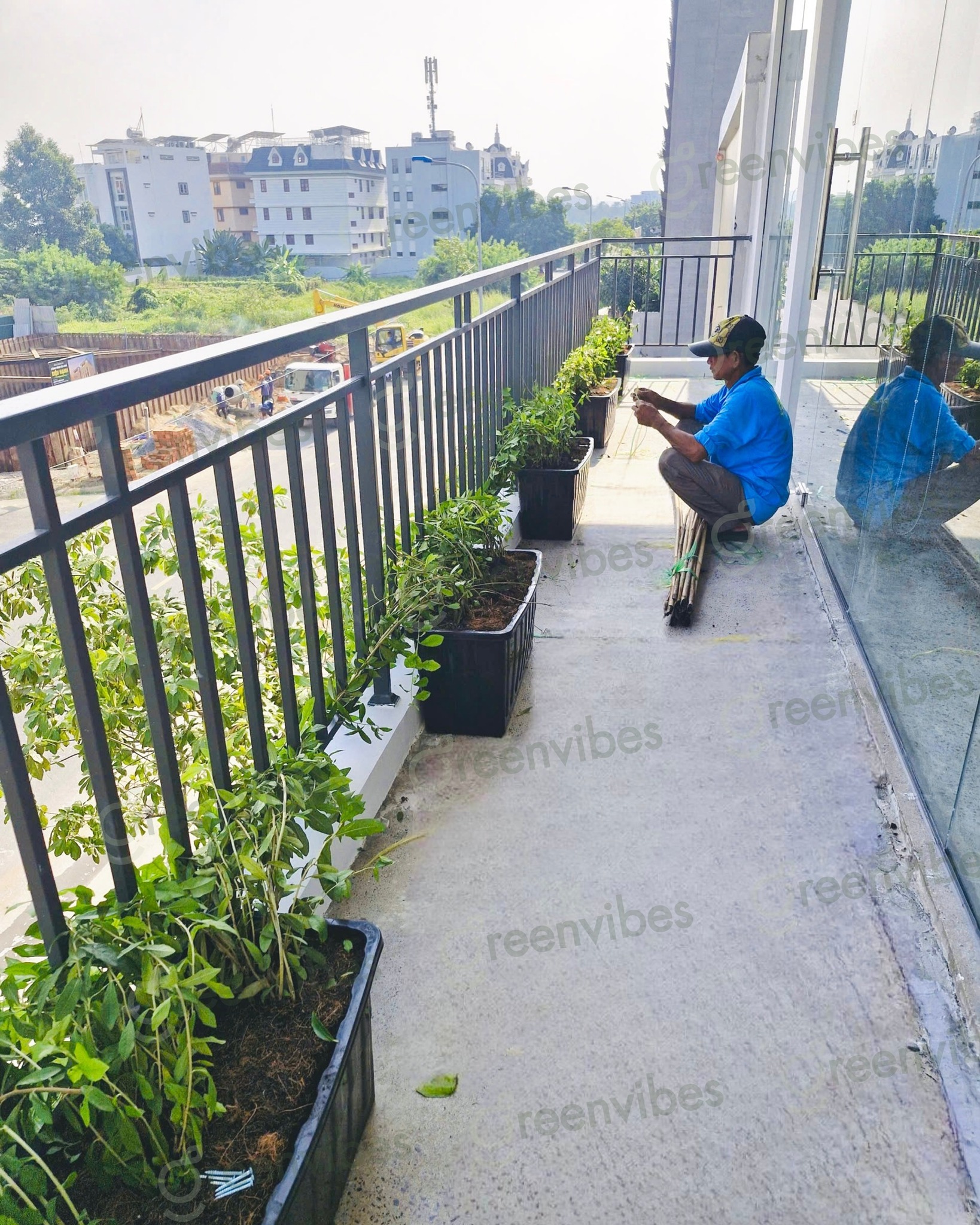 Dịch Vụ Chăm Sóc Cây Cảnh, Sân Vườn Giá Rẻ Hồ Chí Minh Dịch Vụ Chăm Sóc Cây Cảnh, Sân Vườn Giá Rẻ Hồ Chí Minh