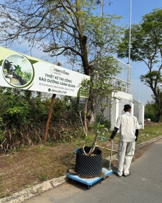 Hỗ Trợ Tư Vấn, Chăm Sóc Cây Tại Nhà Giá Rẻ Khu Vực HCM