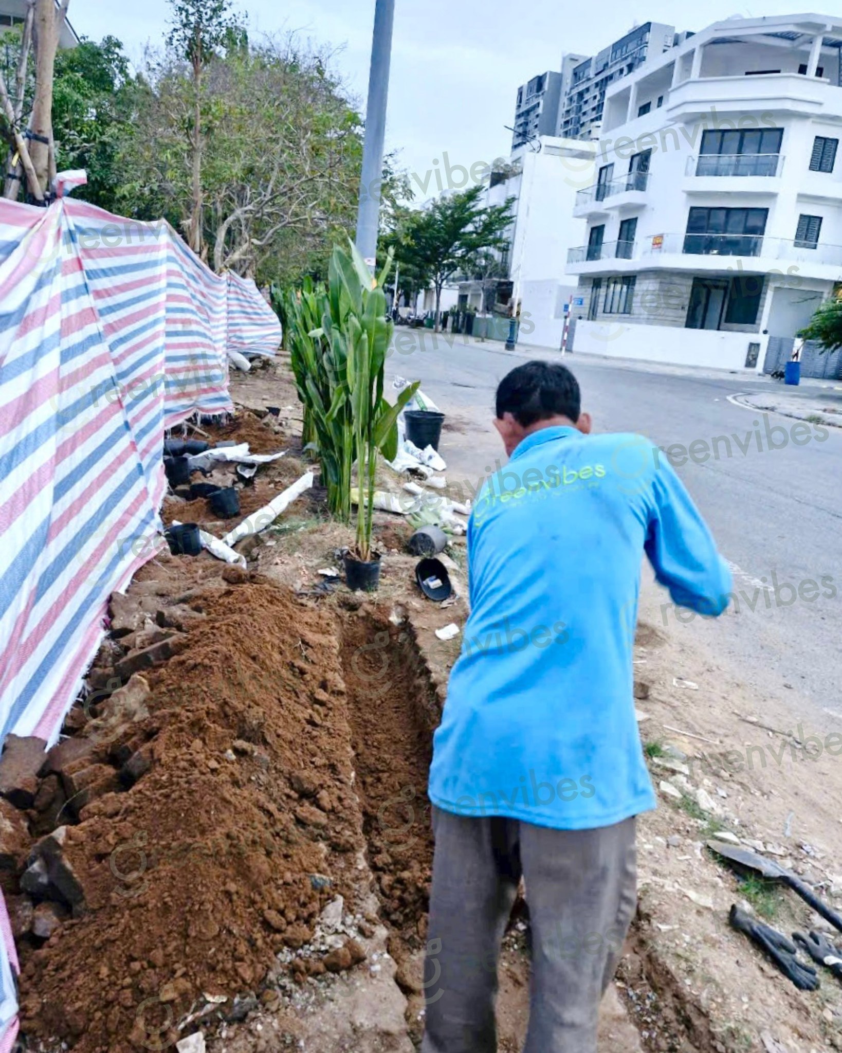 Dịch Vụ Cây Xanh Quận 2 Chăm Cây Ban Công, Sân Vườn Dịch Vụ Cây Xanh Quận 2 Chăm Cây Ban Công, Sân Vườn