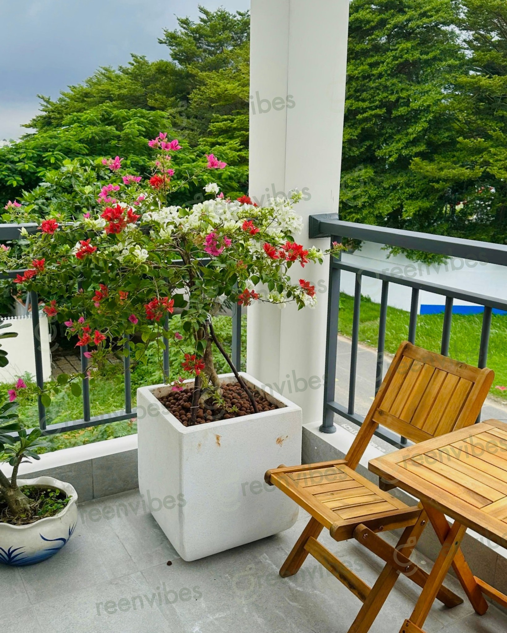Cách Trang Trí, Chăm Sóc Cây Ban Công Đơn Giản Tại Nhà Cách Trang Trí, Chăm Sóc Cây Ban Công Đơn Giản Tại Nhà