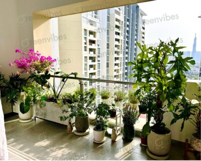Không Gian Xanh Tươi Mát Với Dịch Vụ Chăm Sóc Ban Công Tại Quận 2