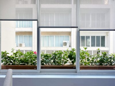 Cây Xanh Quận 2 Lá Phổi Xanh Cho Đô Thị Hiện Đại