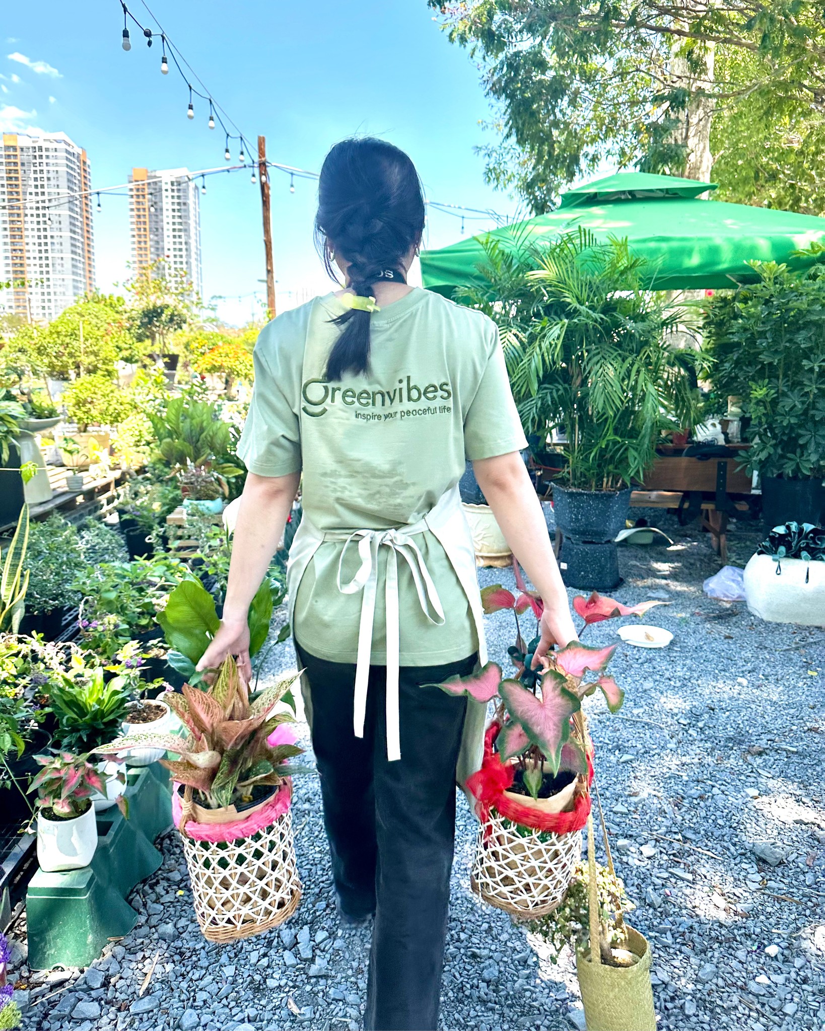 Cây Xanh Đô Thị Quận 2 Cây Xanh Đô Thị Quận 2