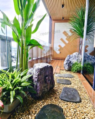 Dịch Vụ Trồng Cây Xanh Ban Công Chung Cư, Nhà Phố Giá Rẻ