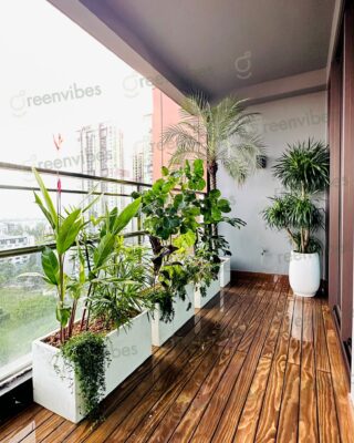 Cây Cảnh Quận 2 Ở Ban Công Sân Vườn