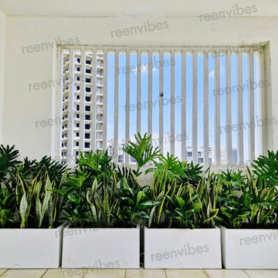 Trang Trí Cây Xanh Cho Ban Công Căn Hộ, Chung Cư Mát Mẻ