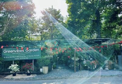 Bán Cây Xanh Trang Trí Quận 1, Quận 2, Quận 3, TP.HCM, Giao Tận Nơi