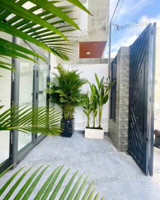 Greenvibes Dịch Vụ Toàn Diện Về Cây Cảnh Quận 2