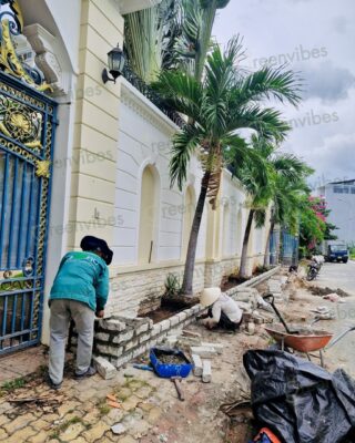Chăm Sóc Cây Cảnh, Sân Vườn Giá Rẻ Tại Quận 2 Hồ Chí Minh