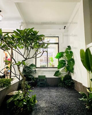 Bảo Dưỡng Cây Xanh Quận 2 Thế Nào Là Tốt