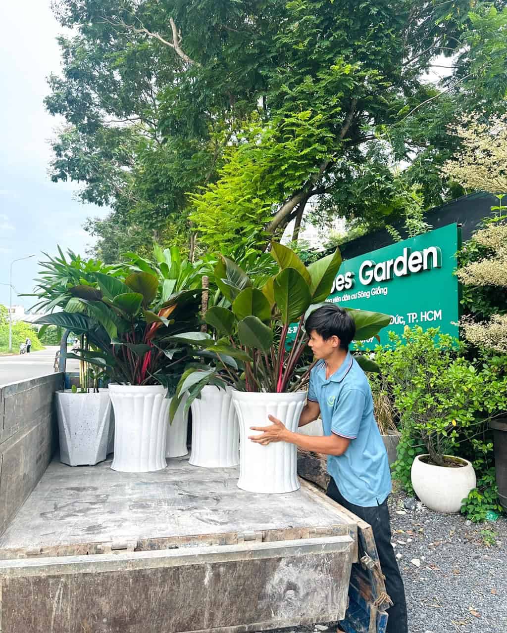 Cây Xanh, Cây Cảnh Q2 Được Quan Tâm Chăm Sóc Tại Nhà