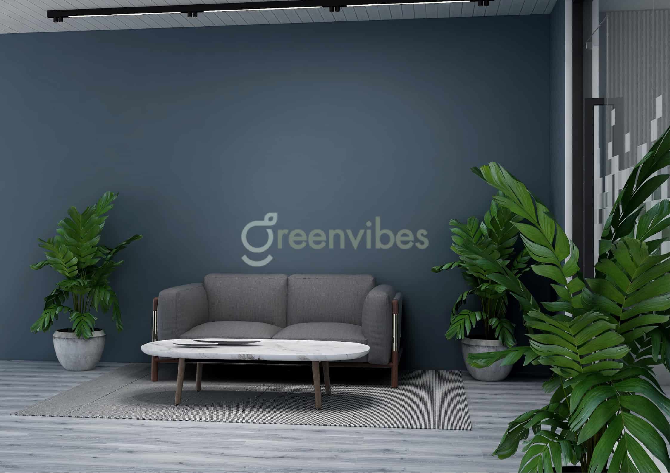 Cho thuê Cây xanh văn phòng quận 2 Greenvibes Cho thuê Cây xanh văn phòng quận 2 Greenvibes