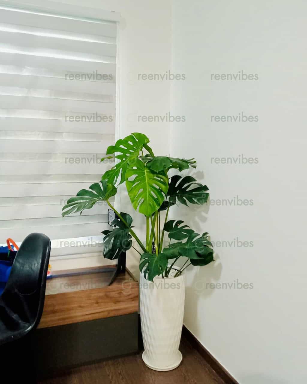 Cây xanh ban công Quận 2 Greenvibes Cây xanh ban công Quận 2 Greenvibes