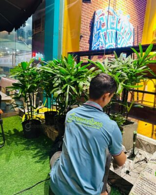 Hướng Dẫn Người Dân Chăm Sóc Bảo Vệ Cây Cảnh Quận 2