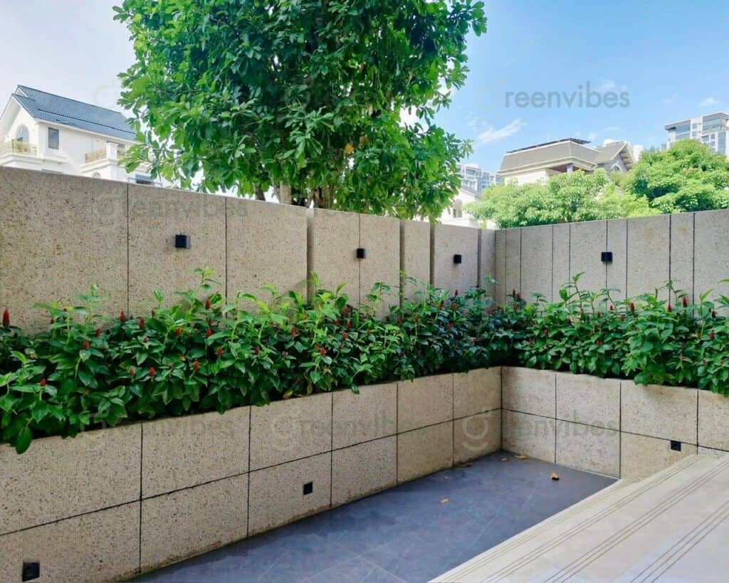  Cây Cảnh Đô Thị Quận 2 