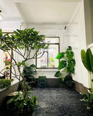 Tương Lai Xanh Cho Cây Xanh Quận 2 Nhờ Công Nghệ Mới