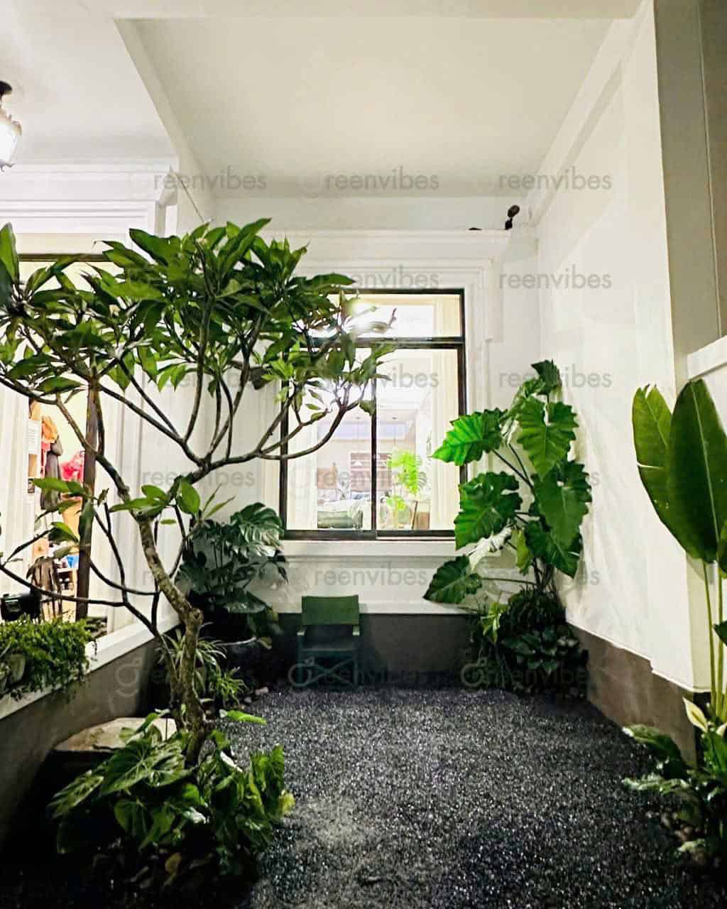 Tương Lai Xanh Cho Cây Xanh Quận 2 Nhờ Công Nghệ Mới