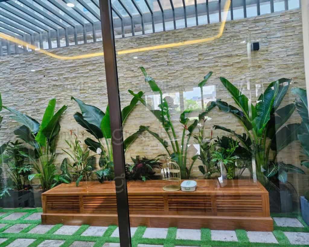 Cây Xanh Đô Thị Quận 2 Cây Xanh Đô Thị Quận 2