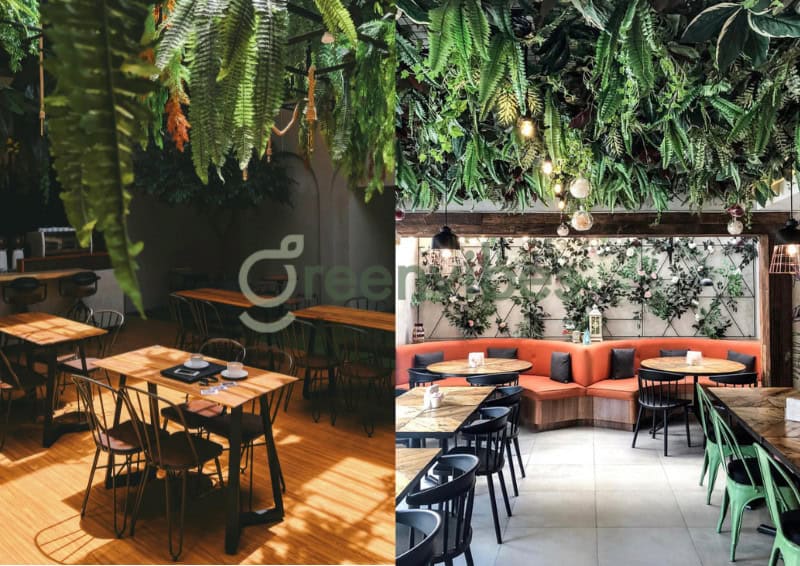 Cây Cảnh Trang Trí Quán Café Quận 2 Không Gian Chill Chuẩn Gu