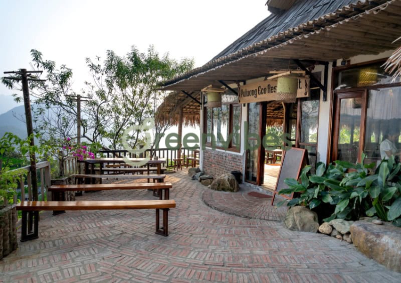 Cây Xanh – Yếu Tố Phong Thủy Thu Hút Vận May Và Tài Lộc