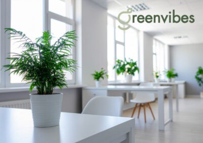 Dịch Vụ Cây Xanh Quận 2 Cho Văn Phòng, Nhà Ở, Showroom