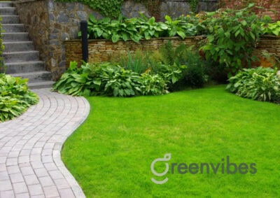 Bảo Dưỡng Cây Cảnh Sân Vườn Quận 2