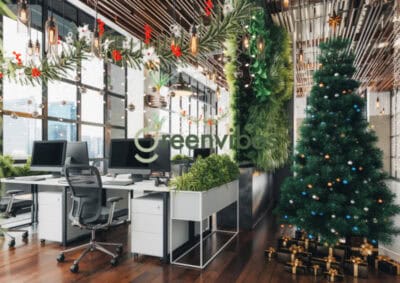 Cây Xanh Văn Phòng Quận 2 Nâng Cao Môi Trường Làm Việc