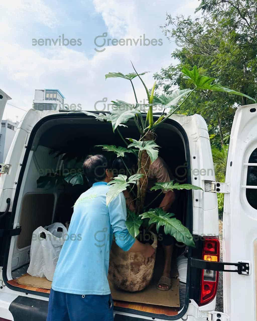 Giải Pháp Linh Hoạt Cho Không Gian Xanh Hiện Đại