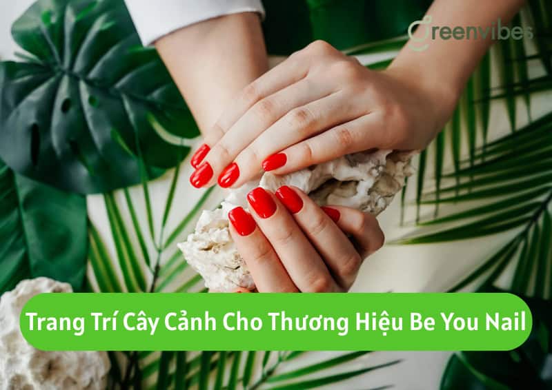 Trang Trí Cây Cảnh Cho Thương Hiệu Be You Nail
